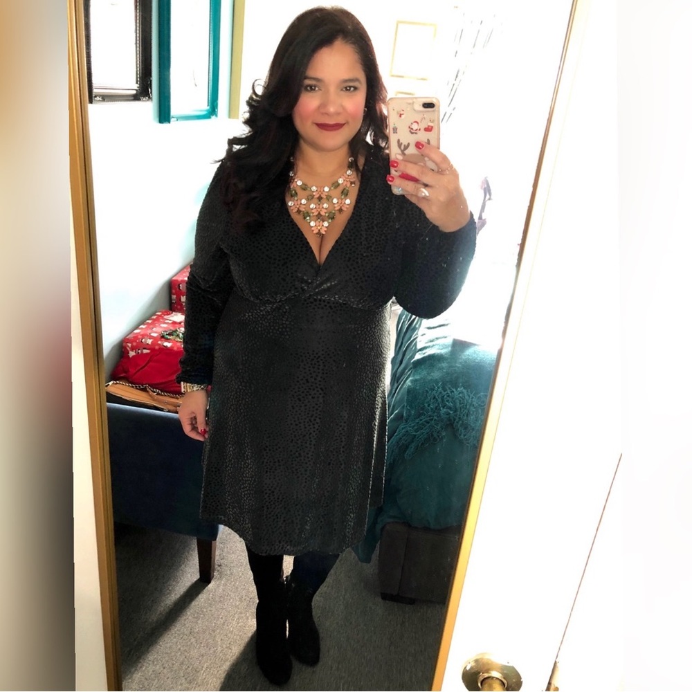 A New Day Velvet Dress